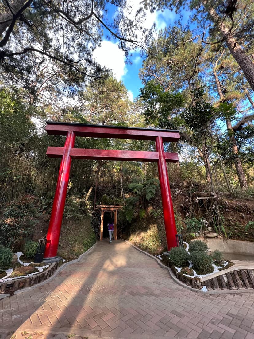 Baguio Botanical Garden Image